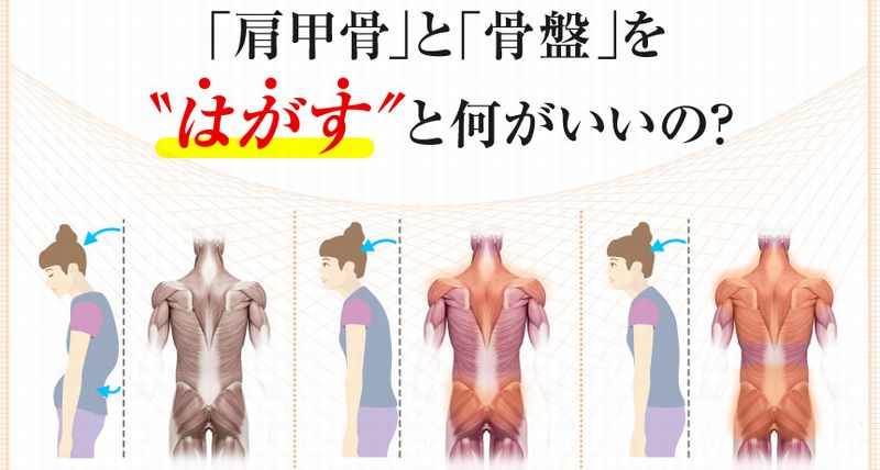 コスメ 健康食品